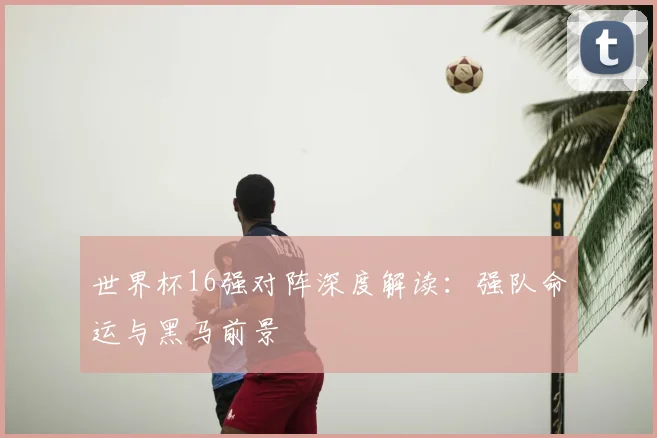 世界杯16强对阵深度解读:强队命运与黑马前景