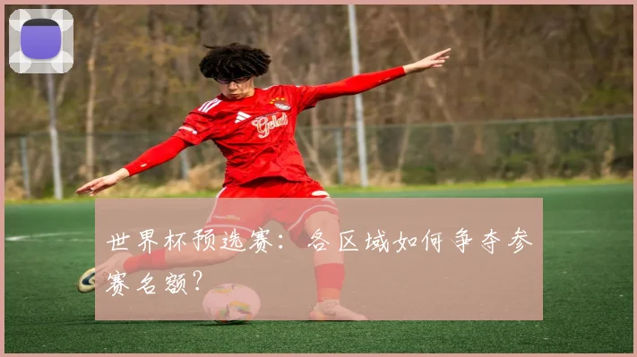 世界杯预选赛:各区域如何争夺参赛名额?