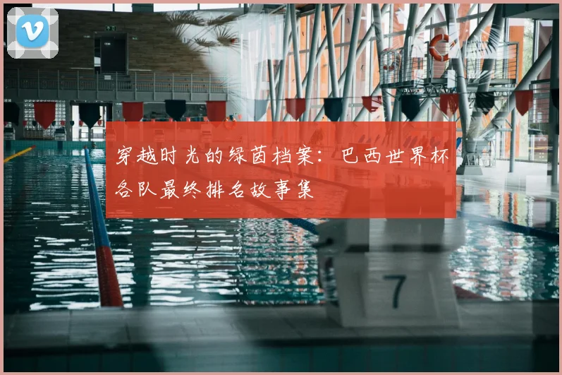 穿越时光的绿茵档案：巴西世界杯各队最终排名故事集