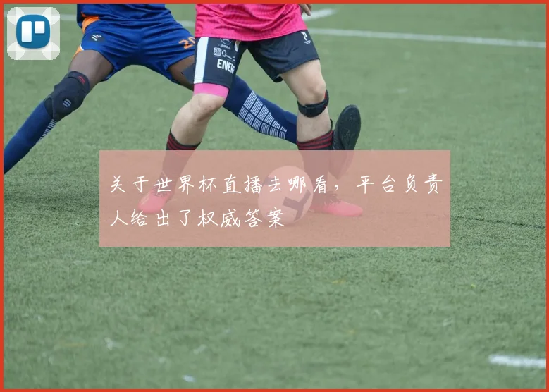 关于世界杯直播去哪看，平台负责人给出了权威答案