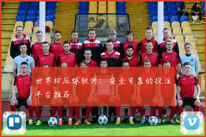 世界杯压球软件:安全可靠的投注平台推荐