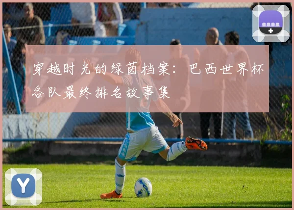 穿越时光的绿茵档案:巴西世界杯各队最终排名故事集