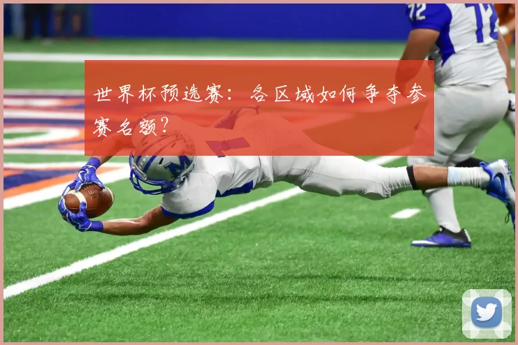 世界杯预选赛:各区域如何争夺参赛名额?