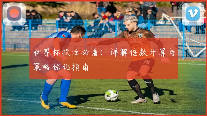 世界杯投注必看：详解倍数计算与策略优化指南